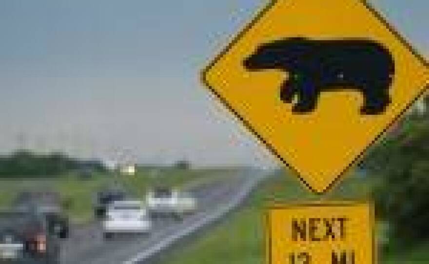 Bear Crossing sign (photos courtesy Carlton Ward Photography)