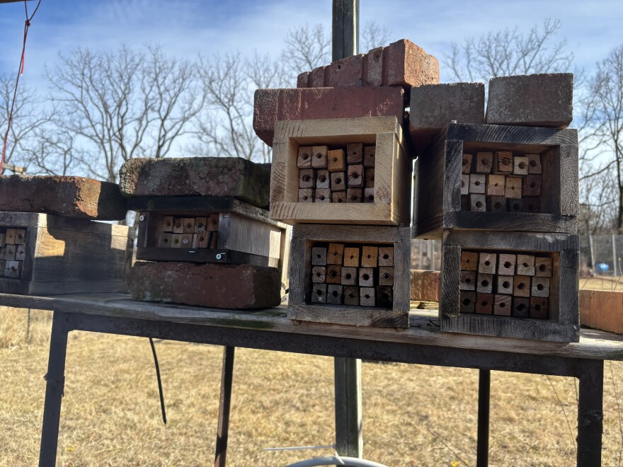 Mason bee habitat at the Blandy Experimental Farm in Boyce.