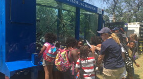 Children crowd around a mobile aquarium that's on loan to Shedd Aquarium for the summer.