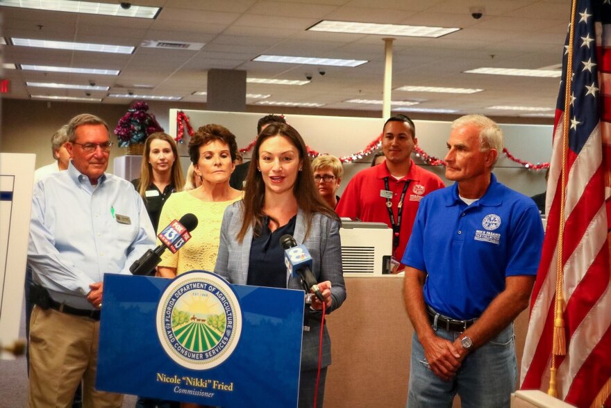 Nikki Fried Says Review Time Cut For Concealed Weapons ...