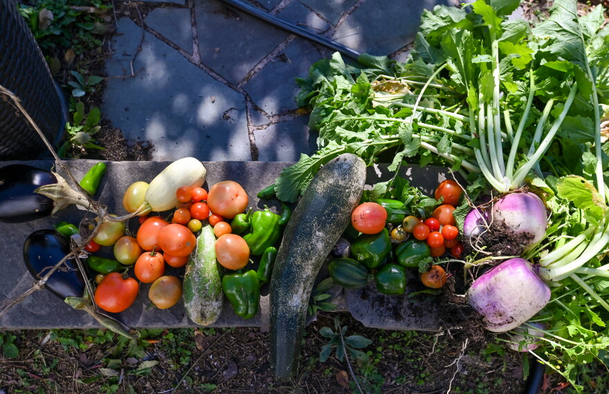 Some of the vegetables Everett Upton picked Thursday morning.
