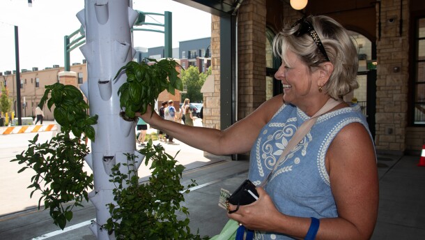 A woman at the Overland Park Farmer's Market purchases herbs from a hydroponic garden.