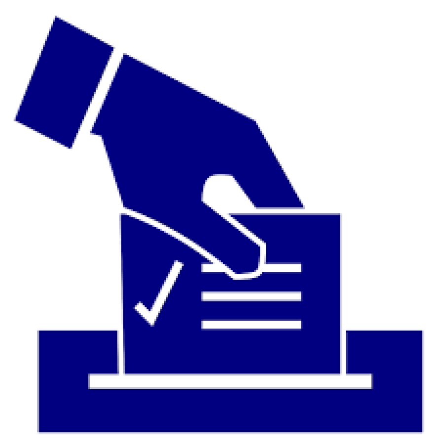 Voting Ballot