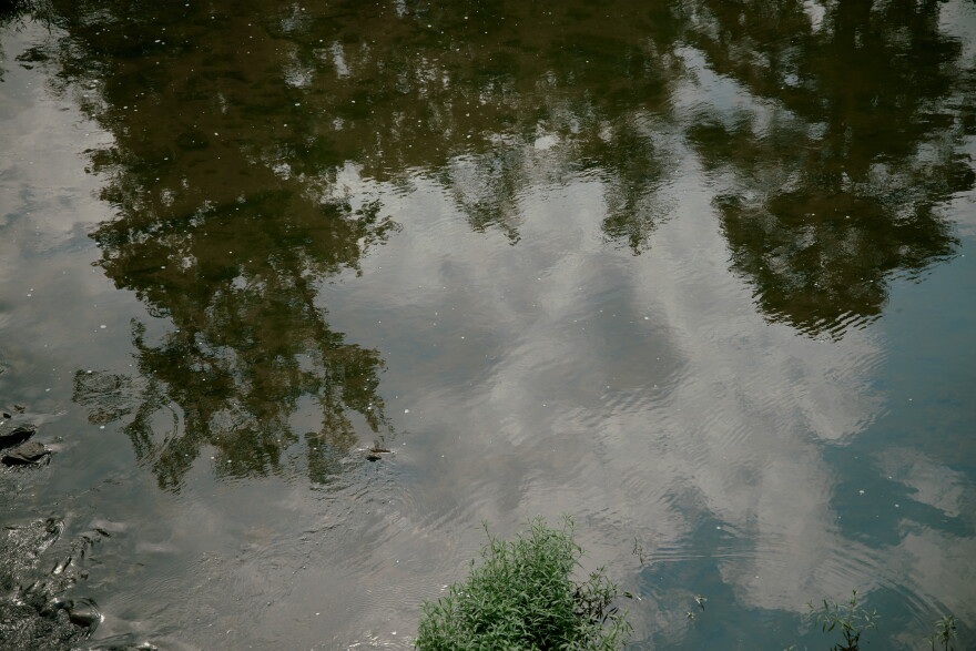 Trees reflect in the Haw River's surface.