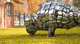 Buffalo sculpture