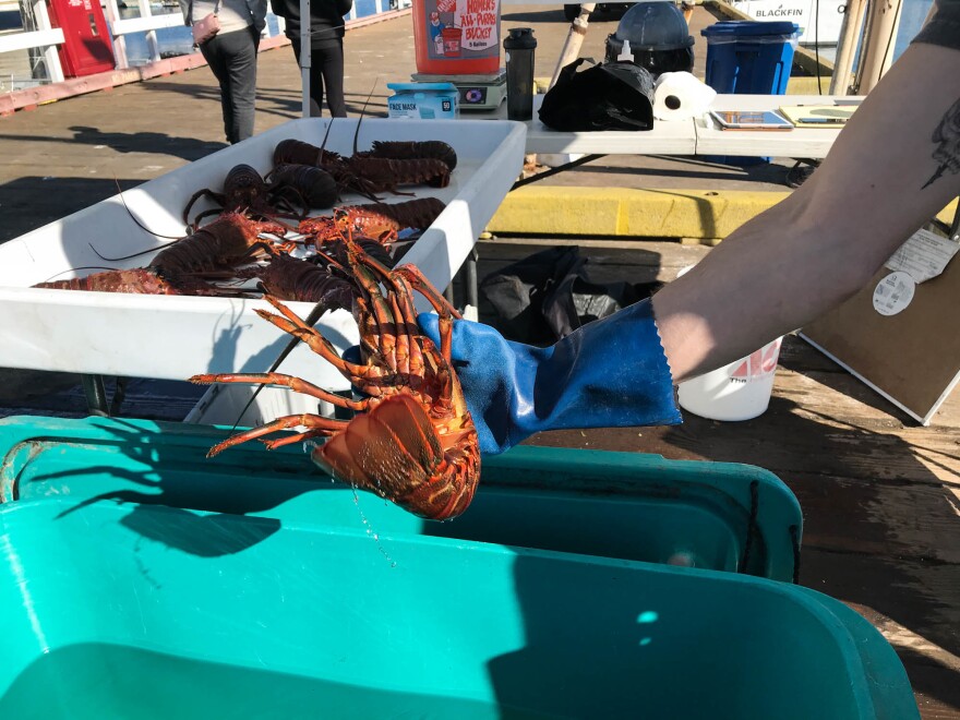 Fishermen sell freshly caught seafood at the Saturday Fishermen's Market in Santa Barbara, Calif. When the pandemic began, fishermen watched their markets dry up overnight. Now, as well as public markets like this, some are selling to food assistance programs.