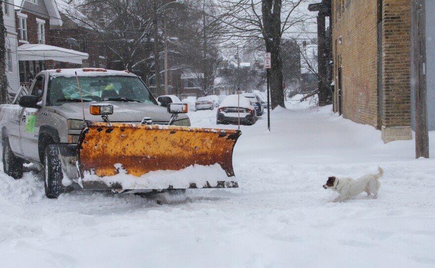 A small dog faces off against a pickup truck with a snowplow in a snowy intersection.