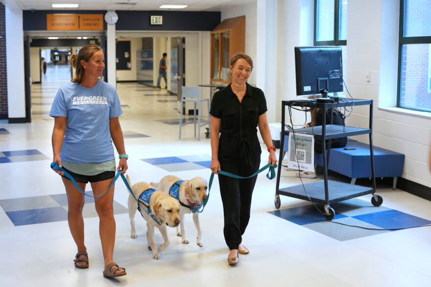 Students walk two leashed dogs through a hallway.