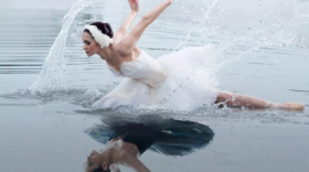 swan-lake
