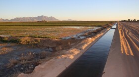 Water from the Colorado River flows through an irrigation canal at an alfalfa farm near Eloy, Arizona.