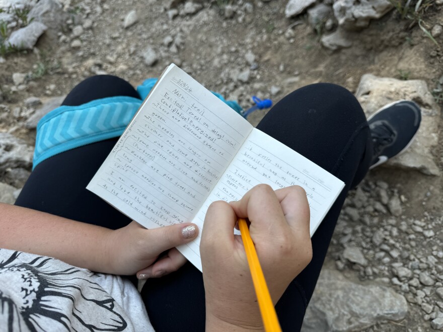 Nature journaling on a hike