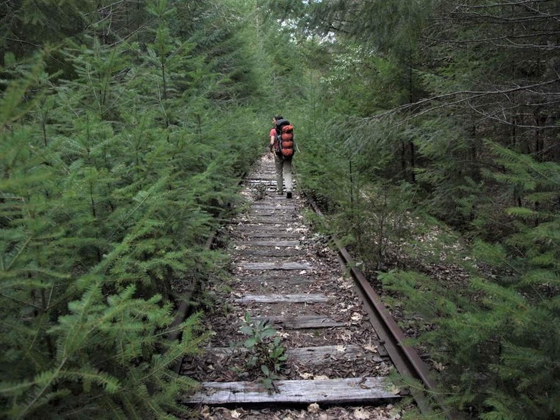The Great Redwood Trail aims to become the longest rail-to-trail project in the U.S. episode artwork