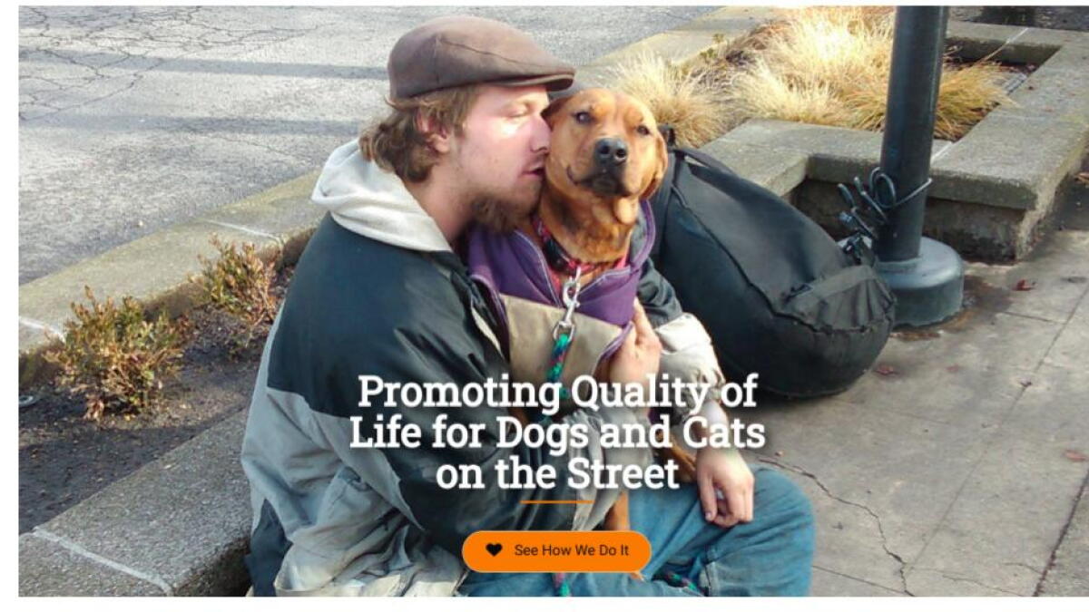 Tue 9:40 | Addressing homelessness from another angle, at Street Dog Project - Vimarsana News