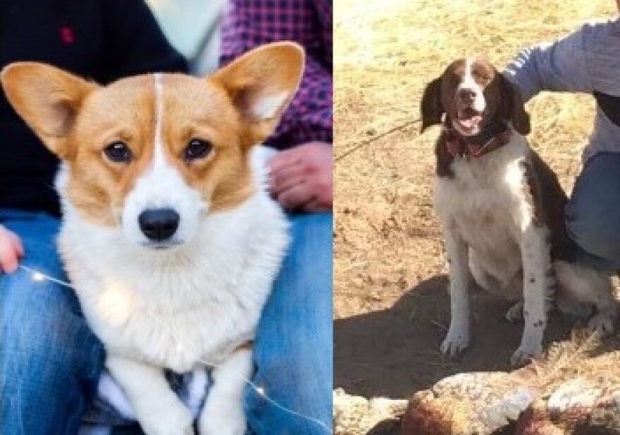 Quincy (left) and Jade (right) passed away Feb. 28, 2024.