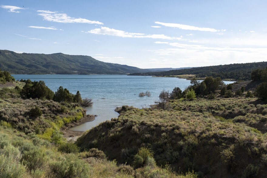 A lake sits amongst a forest of trees with mountains in the background.
