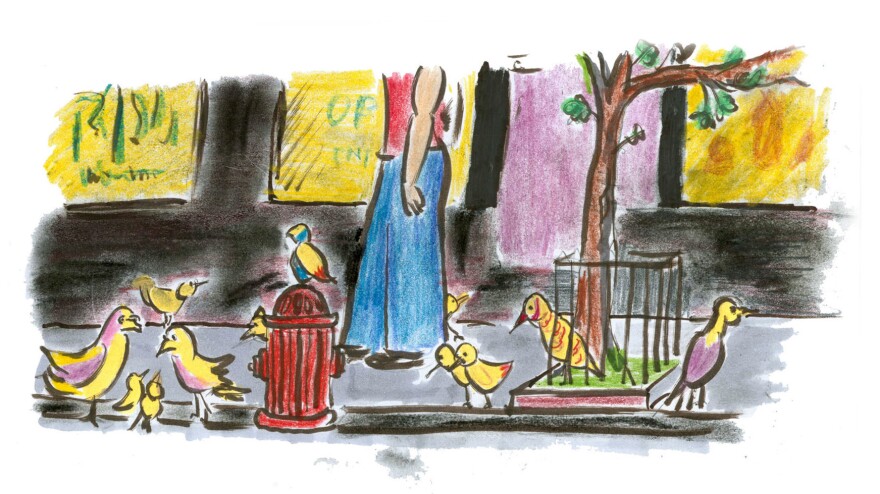 Birds on the city streets.