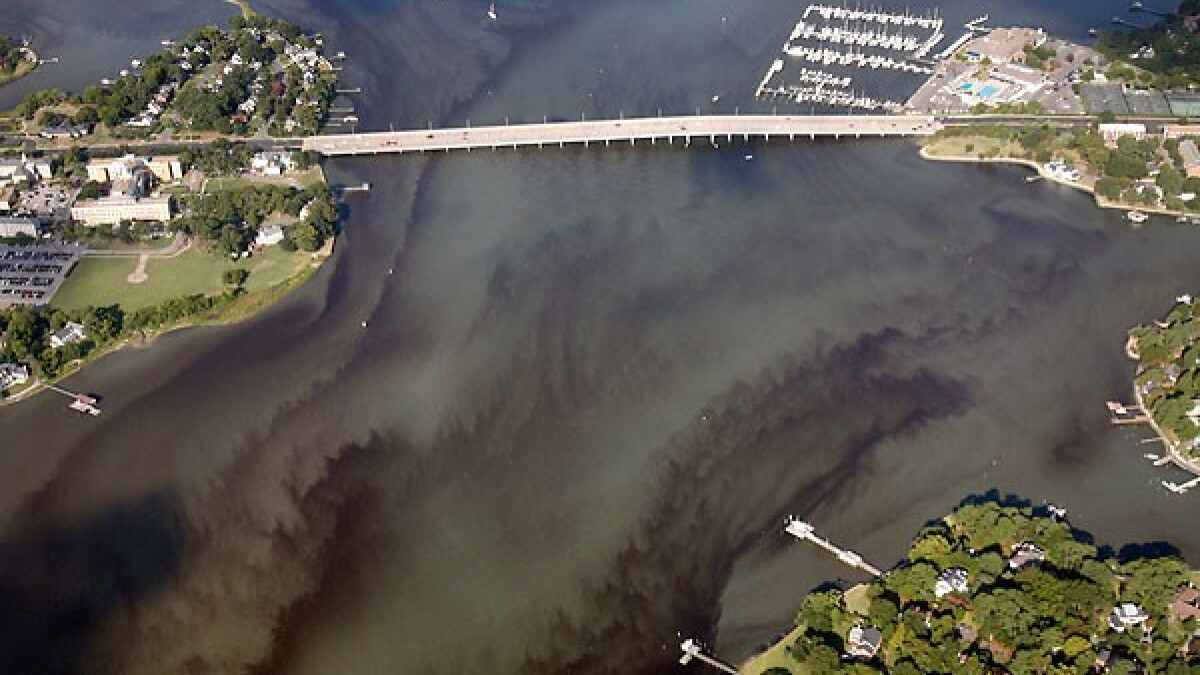 Scientists are tracking a massive algae bloom moving through the Chesapeake Bay
