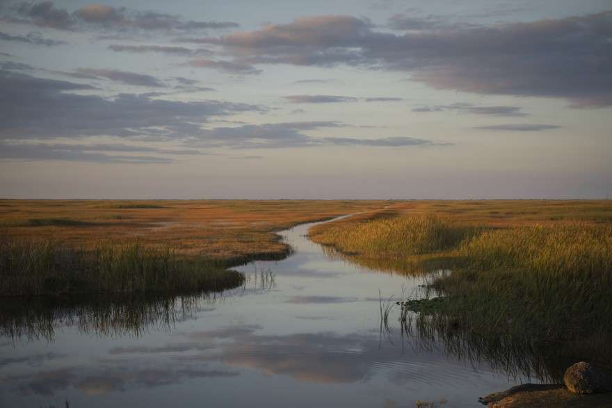 South Florida Water Management DistrictAn airboat trail through marshes in the water conservation area west of Miami-Dade County. Photo: South Florida Water Management District