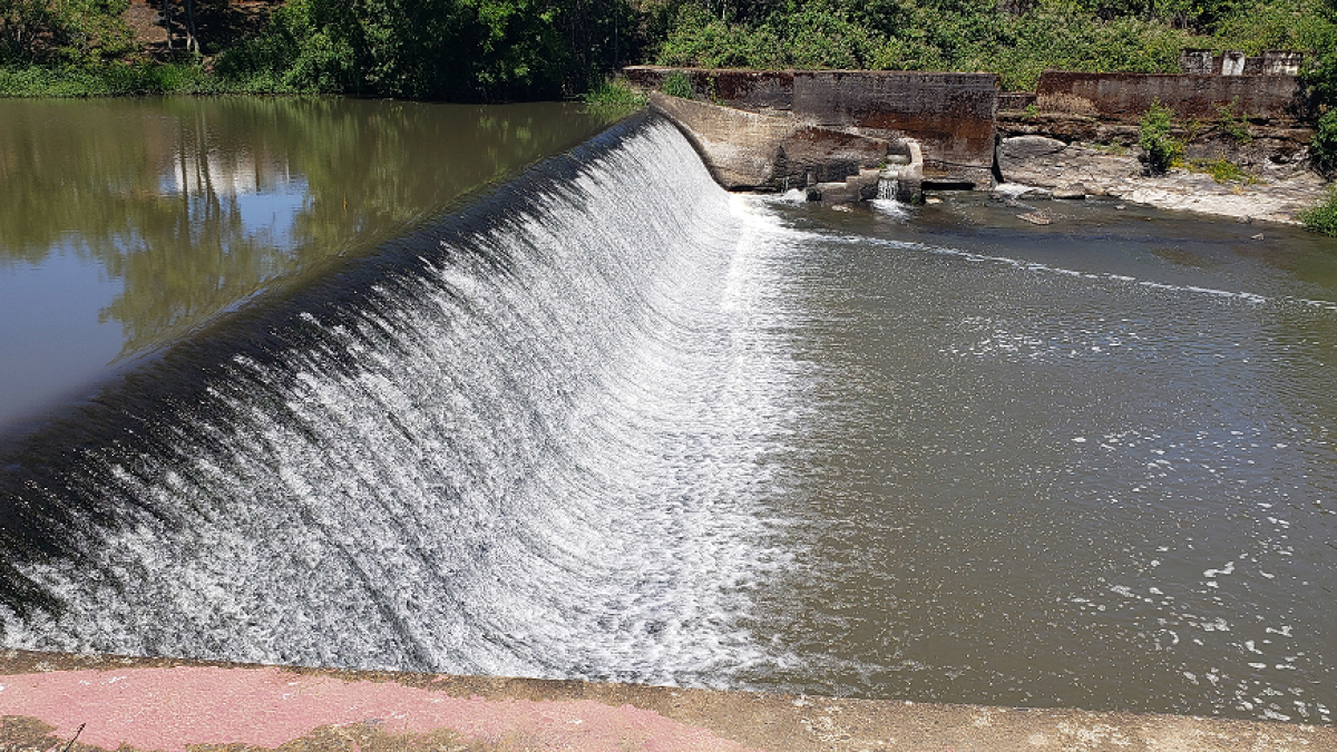 Easier salmon passage goal of dam removal proposal north of Eugene - Vimarsana News