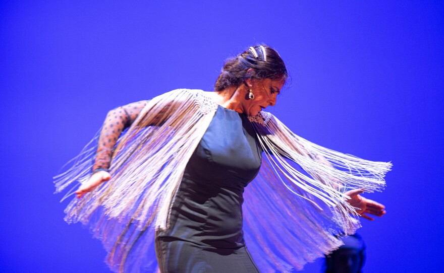 Carola Zertuche