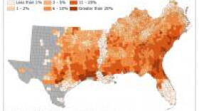 Orange areas represent tree loss.