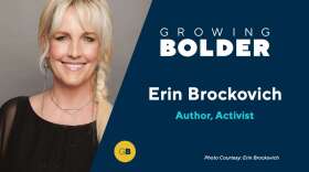 erin-brockovich