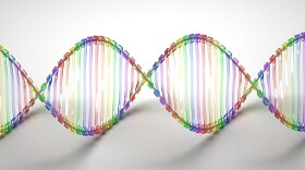 The Palm Beach County Sheriff's Office tested a backlog of nearly 1,000 rape kits and found 140 DNA matches. The agency plans to launch a hotline for victims to follow up on the results of their tests - even if their cases are no longer prosecutable.