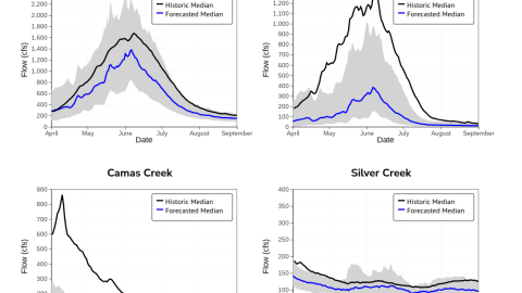 An example of forecast hydrographs, one of the data measurements offered by the Big Wood River Dashboard.