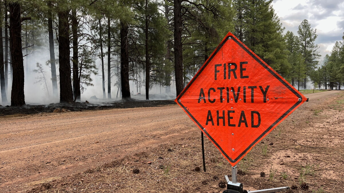 Firefighters begin ignitions on large prescribed burn near Flagstaff - Vimarsana News