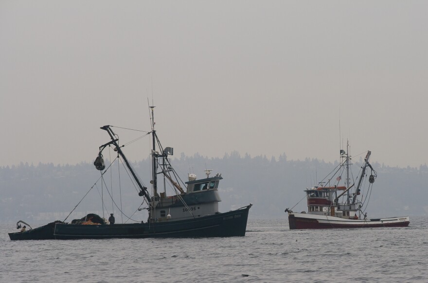 Fishing boats on Puget Sound