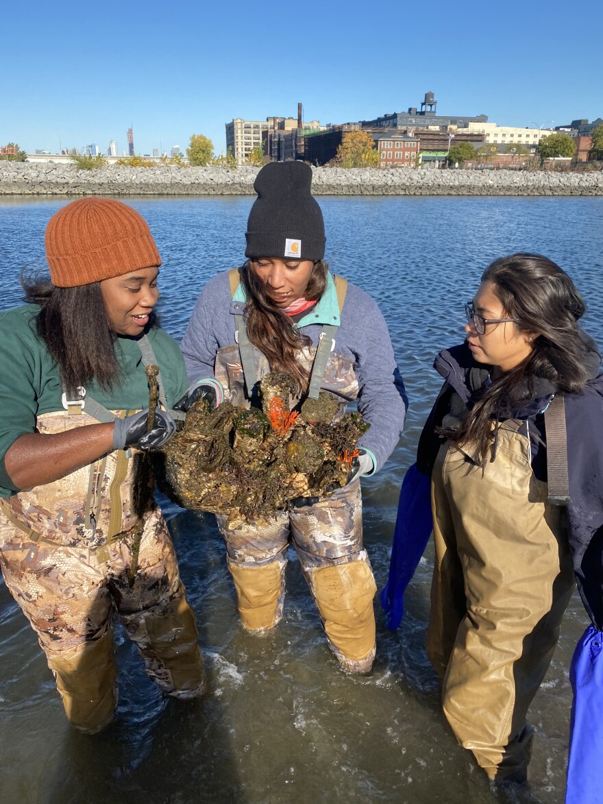 An MIA partnership visit with lead staff at the Billion Oyster Project in Brooklyn, NY. (MIA photo)