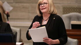  Sen. Elaine Gannon has again filed a bill to provide Medicaid coverage to low-income women for up to a year after they give birth.