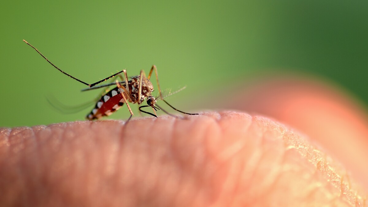 Michigan confirms state's first human case of EEE since 2021