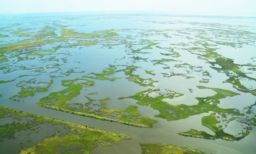 Mbsd Project Project to Restore Louisiana’s Vanishing Coastline Stalled, with ...