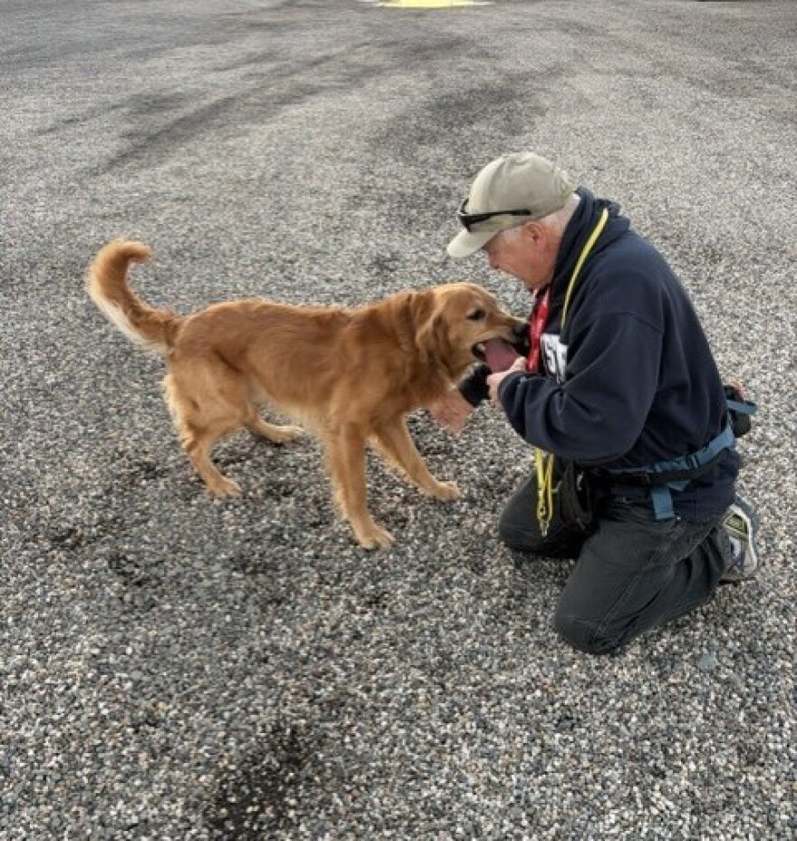 Man training a dog.