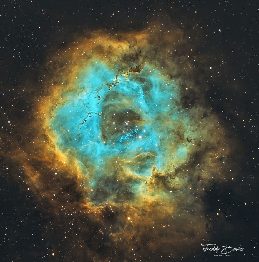 The Rosette Nebula, aka NGC 2237, lies about 5,200 light-years from Earth in the constellation Monoceros the Unicorn, and is about 130 light-years across. It is an emission nebula, meaning that the gases that compose it glow as they are energized by radiation from local stars. The young stars in the nebula’s center are gravitationally bound to each other; they are an open cluster formed together from the material of the nebula.