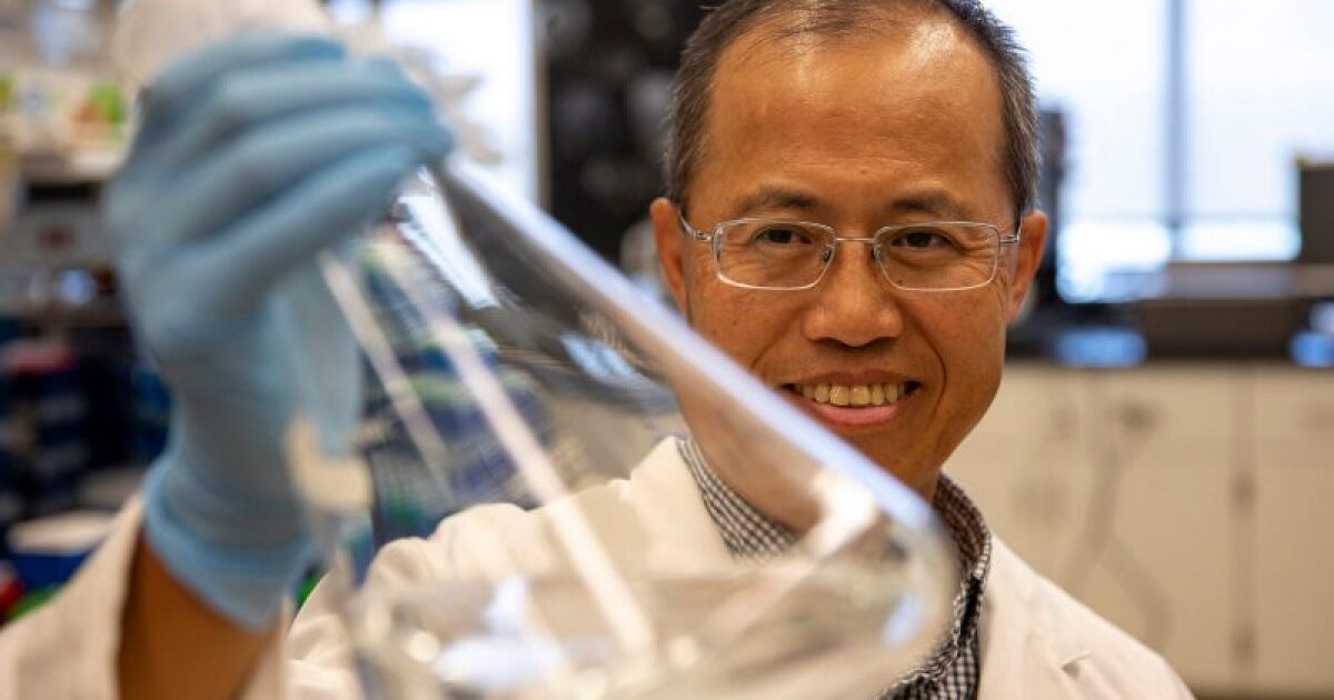 Researchers explore new vaccines that may help protect against opioid overdose death