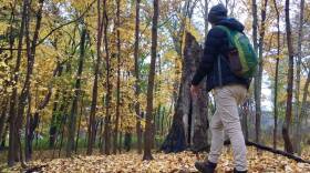 hiking