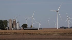 Wind turbines are seen in a corn field behind a farm in Rippey, Iowa.