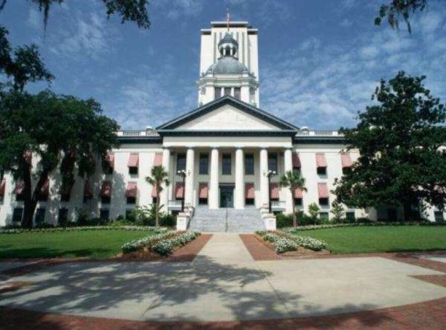 The Republican-proposed 15-week abortion ban, House Bill 5, passed its second House committee review last week. (News Service of Florida)