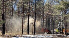 State Forester Laura McCarthy on Sept. 8, 2026, previewed legislation for New Mexico lawmakers to help mitigate the state's wildfire risk. Above: Crews work on mulching burned trees in the Hermits Peak-Calf Canyon Fire burn scar on Feb. 1, 2023. (Patrick Lohmann/Source NM)