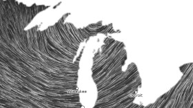 Today's Michigan "Wind Map."