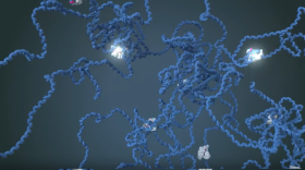 An illustration showing Cas12a2 as white, blocky enzymes attaching to and destroying a cancerous cell's DNA represented by a blue double helix.