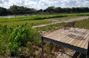 Docks are high and dry after a spill gate failure at Lake Dunlap in May 2019.