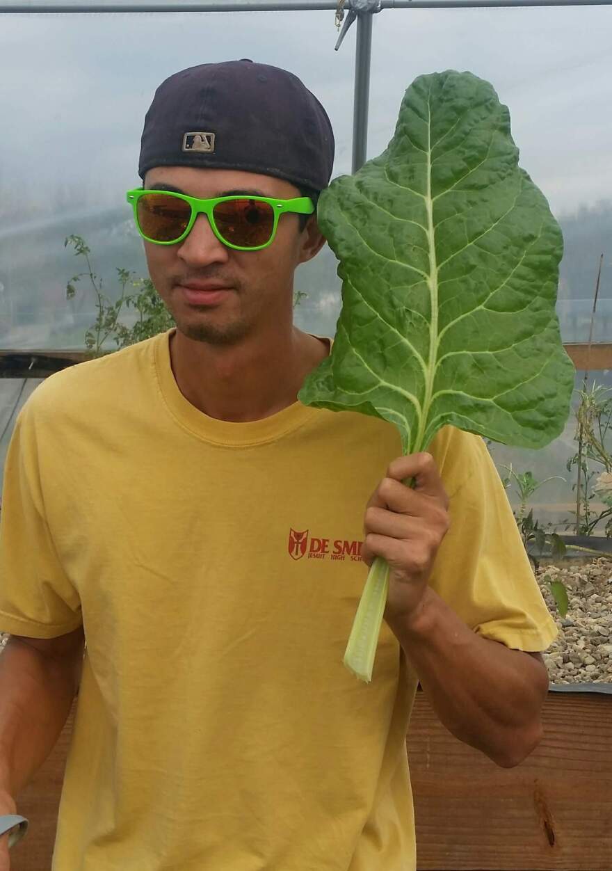 James Forbes holds up a Swiss chard leaf.