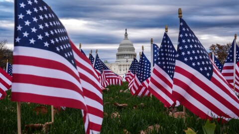 Miniature American flags flutter in wind gusts across the National Mall near the Capitol in Washington, Monday, Nov. 10, 2025.
