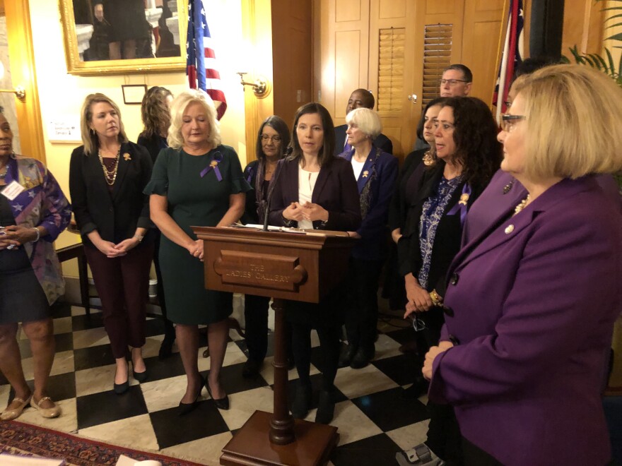 House, Senate Democrats hold press conference to talk about the importance of bills that address domestic violence. [Andy Chow]