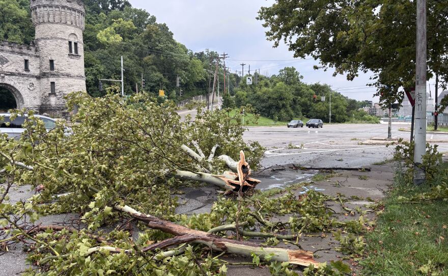Several tree branches on a sidewalk and in the street