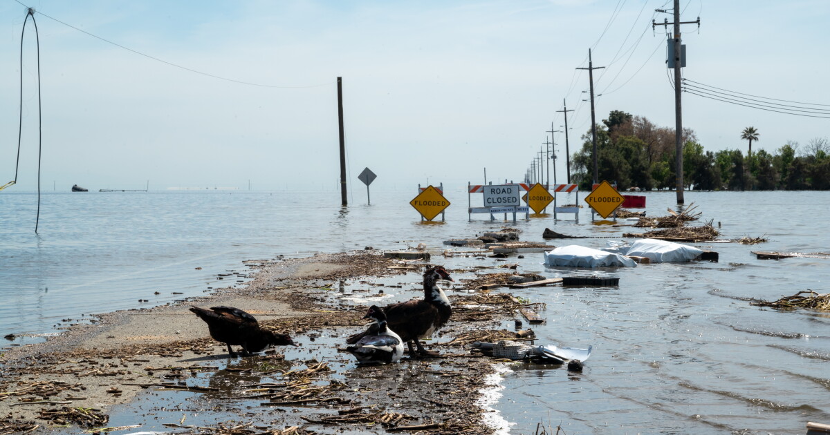 California State of Emergency Declared ahead of El Niño season