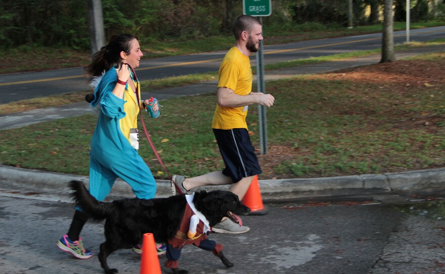 DASH TO THE FINISH -- Megan Harris, 38, and Tyler Stubblefield, 30, have a strong finish at the end of the Dog Days run on Saturday, April 2, 2016, with Mowgli, a dog brought in by animal control who unfortunately was found missing a paw when rescued. (Photo by Samuel Figuera)